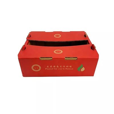 La cartulina acanalada caja de embalaje CMYK que imprime las cajas de empaquetado de la fruta y verdura