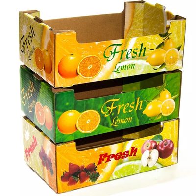 Fruta plegable de la cartulina del OEM y tamaño modificado para requisitos particulares cajas de Veg