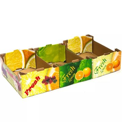 Fruta plegable de la cartulina del OEM y tamaño modificado para requisitos particulares cajas de Veg
