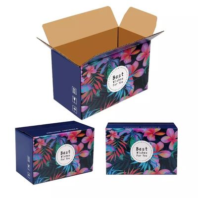 Caja acanalada de empaquetado del cartón de la fruta de 5 de la capa cajas de la fruta dura de la cartulina