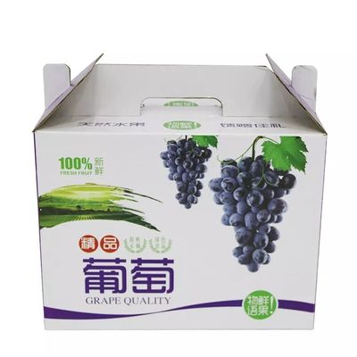 Caja de embalaje Dia9cm*H16cm reciclable de las uvas de la cartulina acanalada