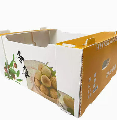 Estático anti de la caja del volumen de ventas de la placa del hueco de las cajas de empaquetado plásticas de la fruta de los PP