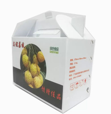 Cajas de frutas y verduras de plástico corrugado PP reutilizables personalizadas