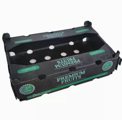 Frutas de empaquetado del polipropileno de las cajas de la fruta de la anchura 2200m m que embalan la caja plástica