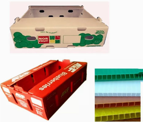 2400x1200 2440x1220 Fruta Vegetal Caja Plástico Corrugado