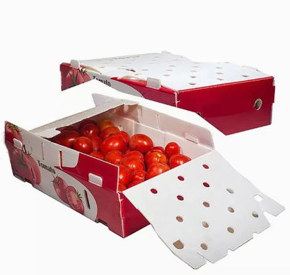 Las verduras dan fruto las cajas de empaquetado acanalaron los parásitos atmosféricos plásticos protectores