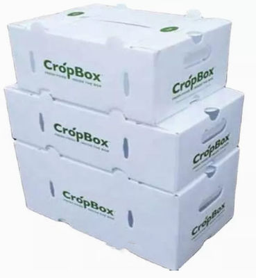 Las verduras dan fruto las cajas de empaquetado acanalaron los parásitos atmosféricos plásticos protectores