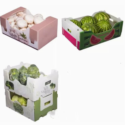 Las verduras dan fruto las cajas de empaquetado acanalaron los parásitos atmosféricos plásticos protectores